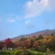 오리온