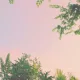 빅토리아