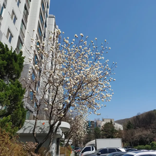 다니엘맘