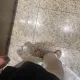 햄벅