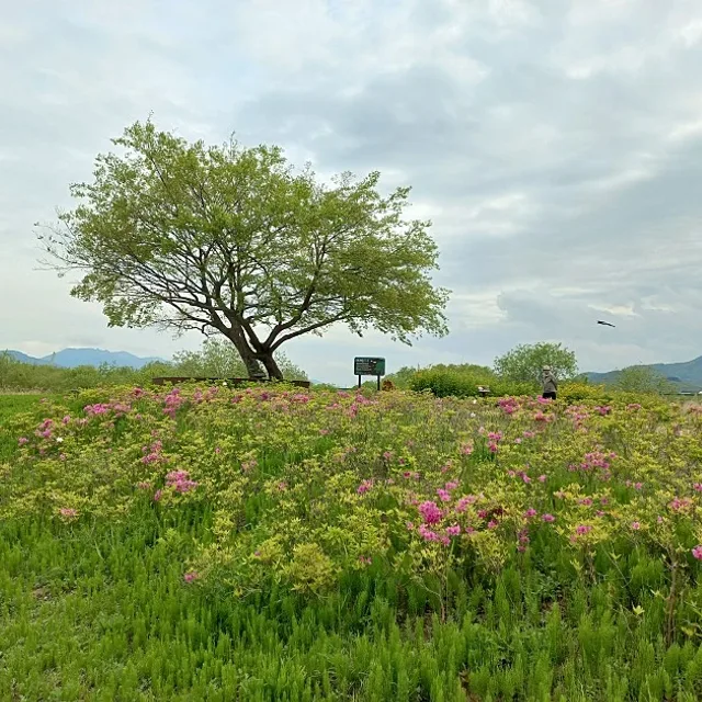 샷콜러