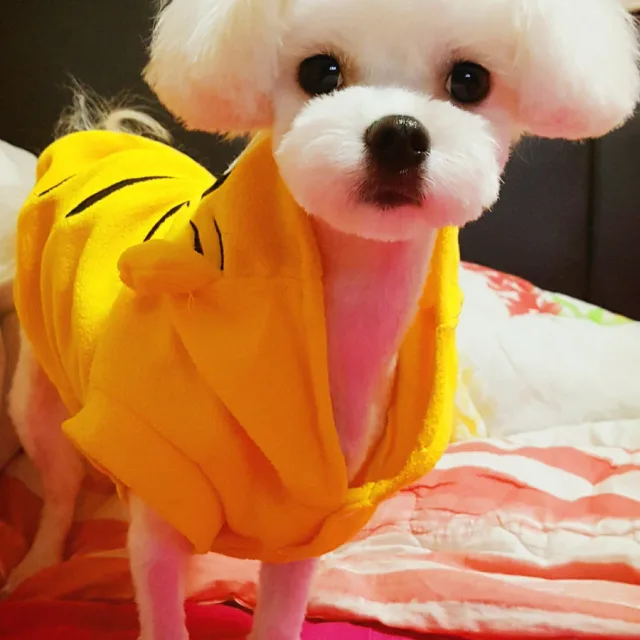 별이