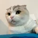 두만몬