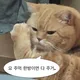 쿠쿠