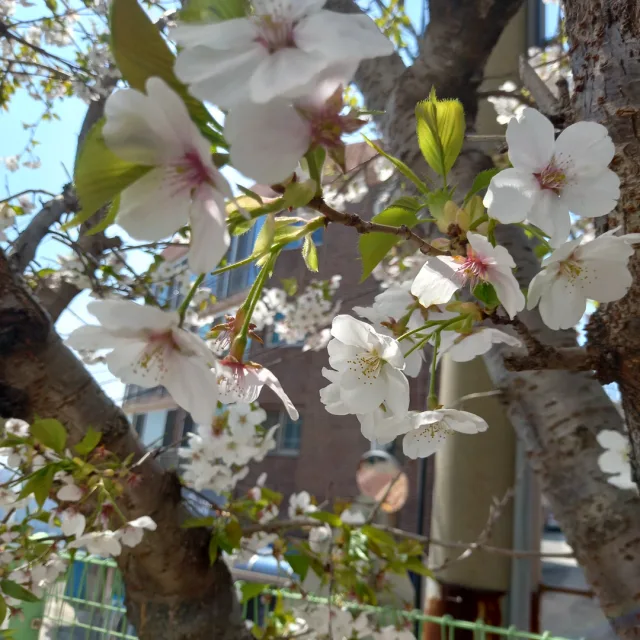 좋아요