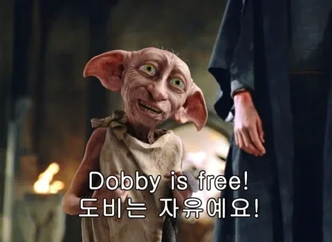 세라