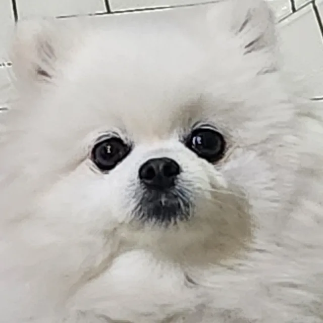 째짼