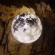 옹기종기