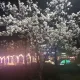 앞발로킥