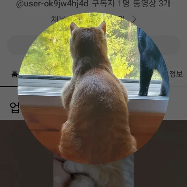 우리집홈케어