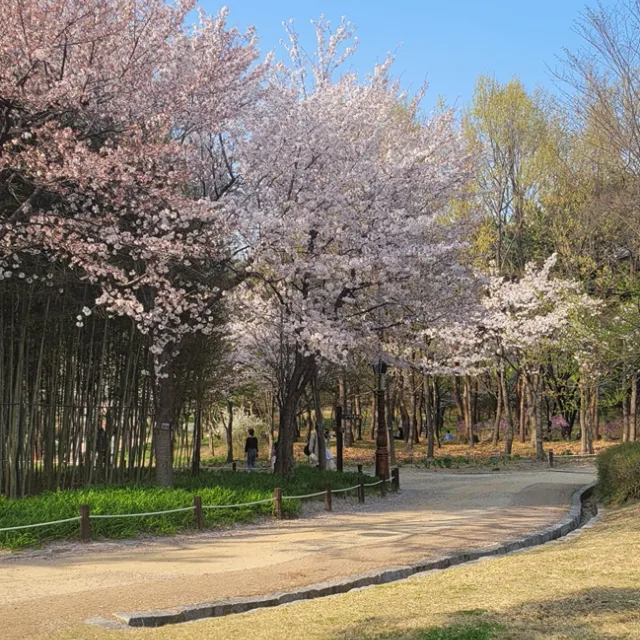 정쓰