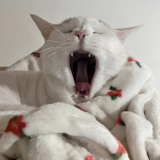 떠기