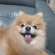 미리내