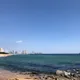 당근이쥐