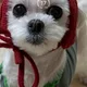 베이지