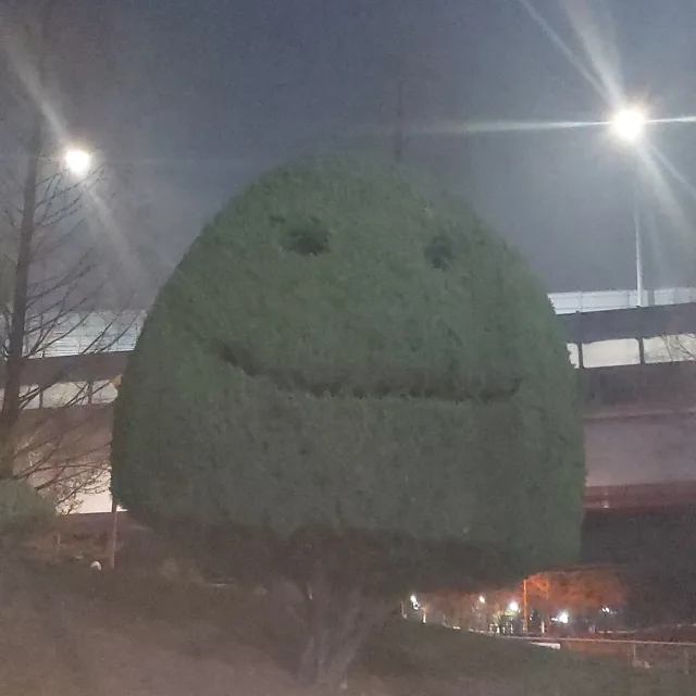 평평한강