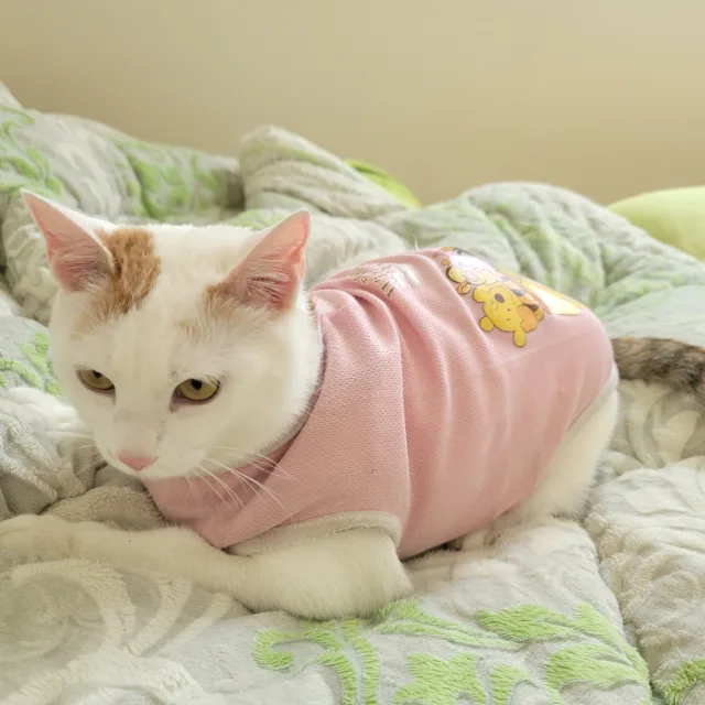 연쇄할인마