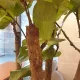 행복하리