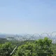 비니루동산