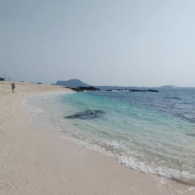 오렌지