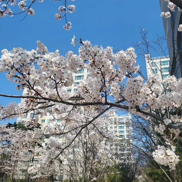 세콩빠