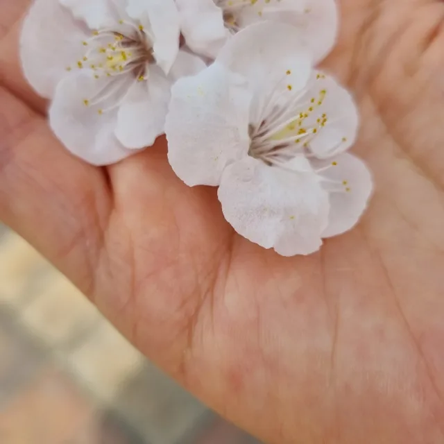작은여유