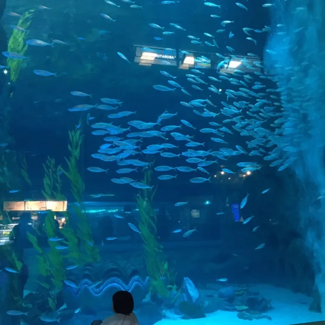 nanimami