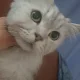 강사