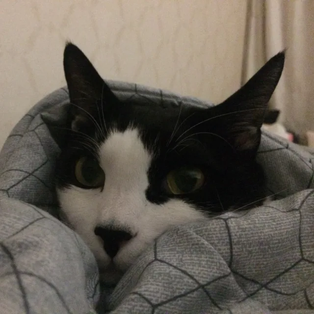 최흥식