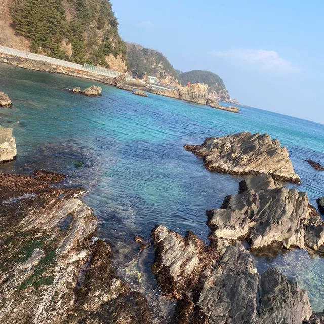 베리쥬베리