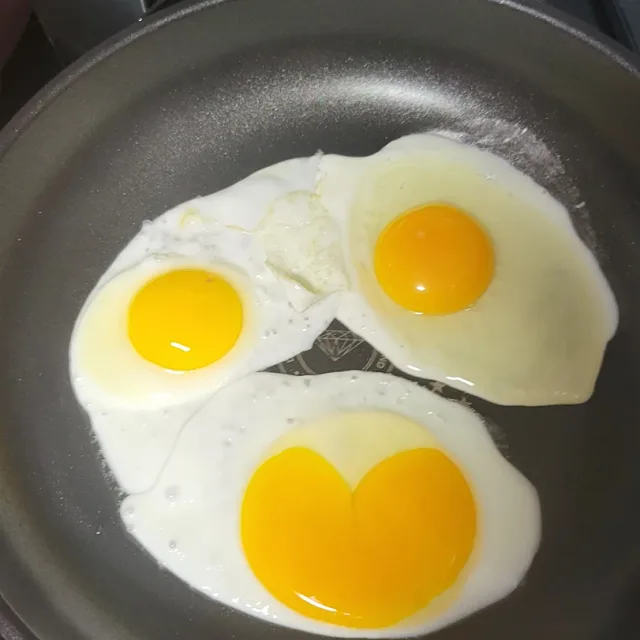당근매니아