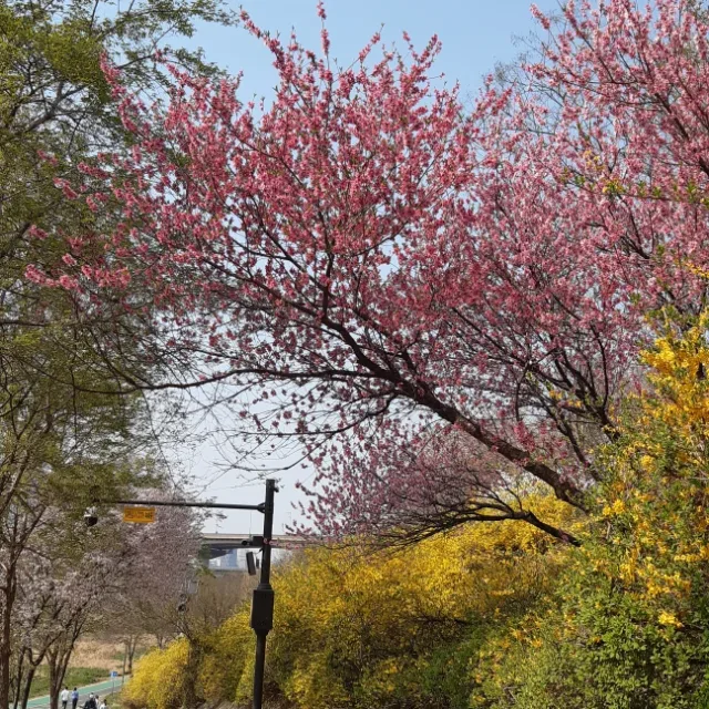 라떼홀릭