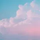 테라