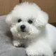 부자