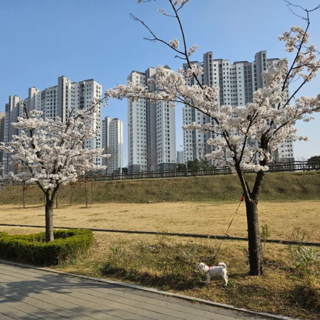 당근빠따