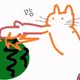너구리