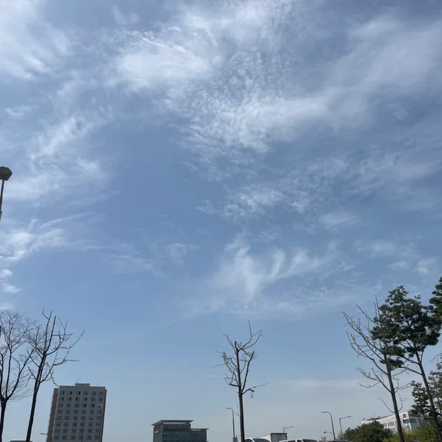 자꾸