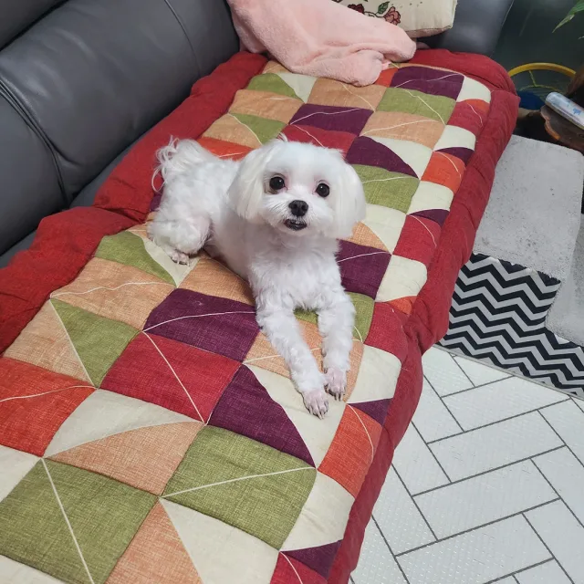 바로와나