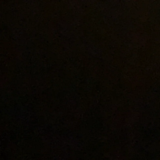 왕딸기