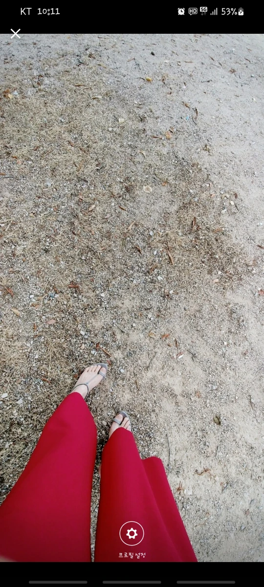 셀리다