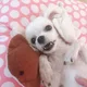 구르미