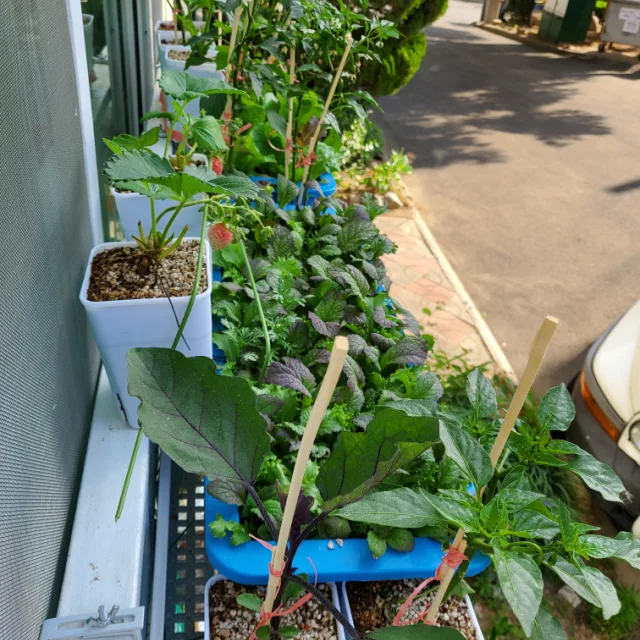 경산