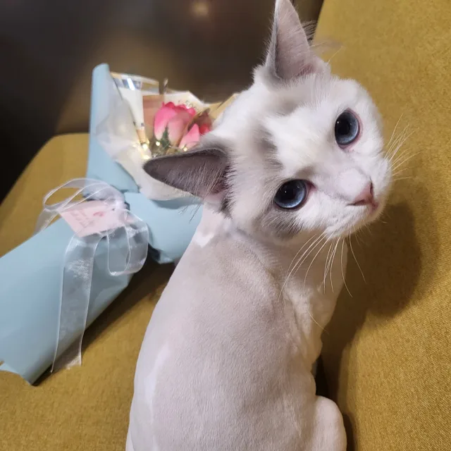 오비는너만