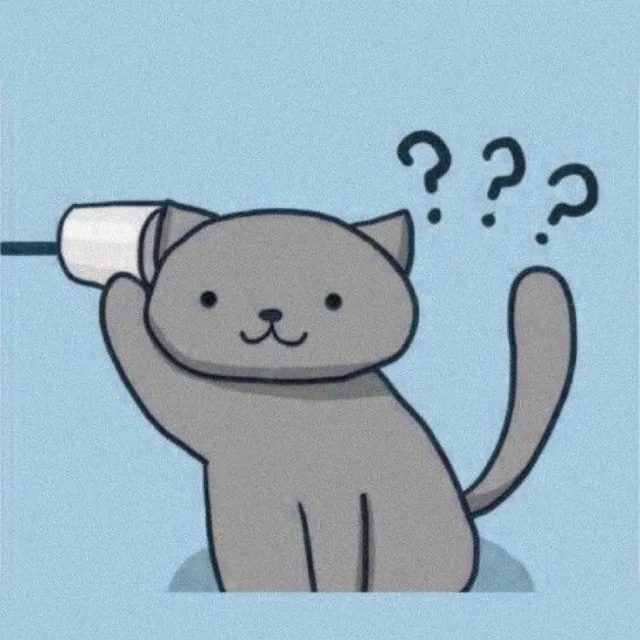 파찌