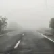 기니