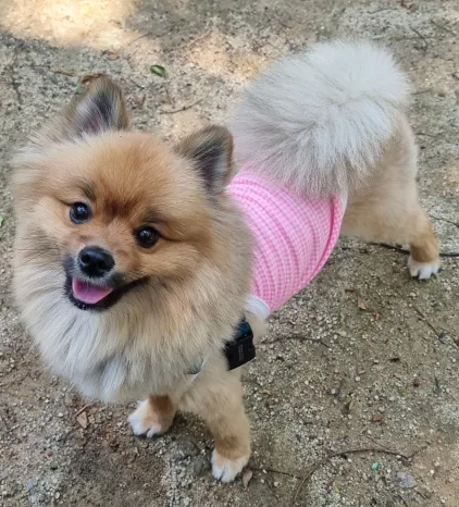 레오맘