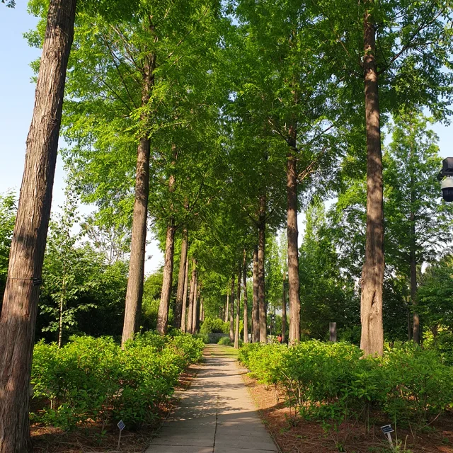 푸른