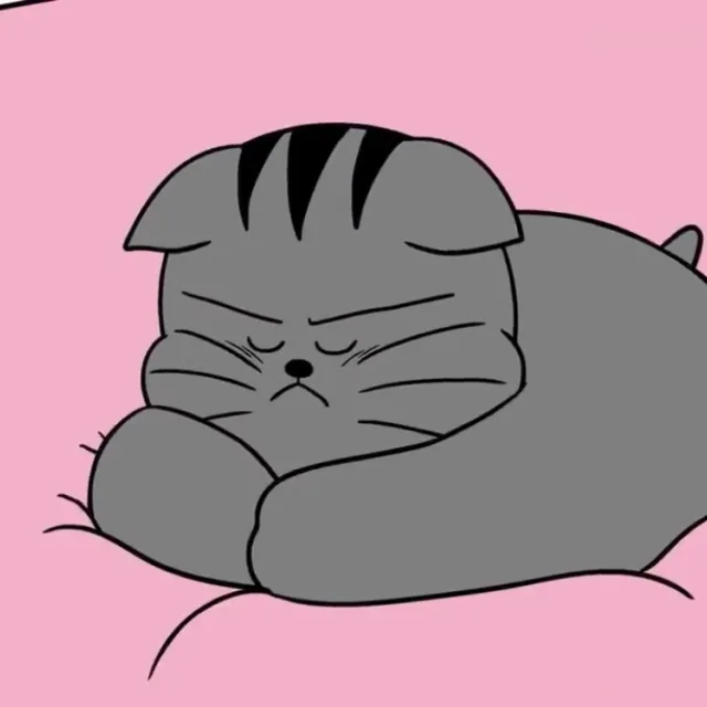 333