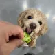 천상이다