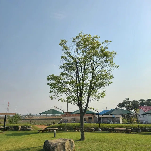 푸르른